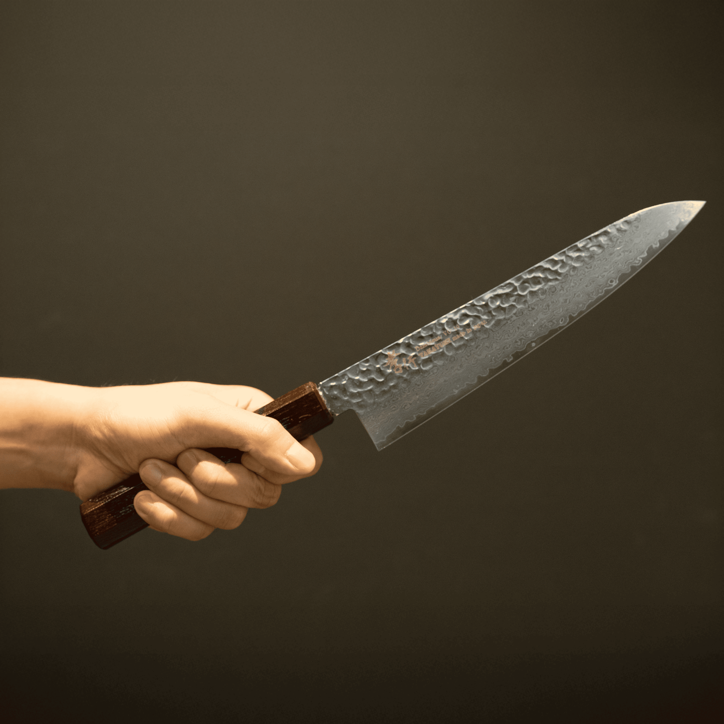 Gyuto VG-10 33 Layers Damascus SAKAI TAKAYUKI Lacquered oak Blue Birch Handle 8.25 inch