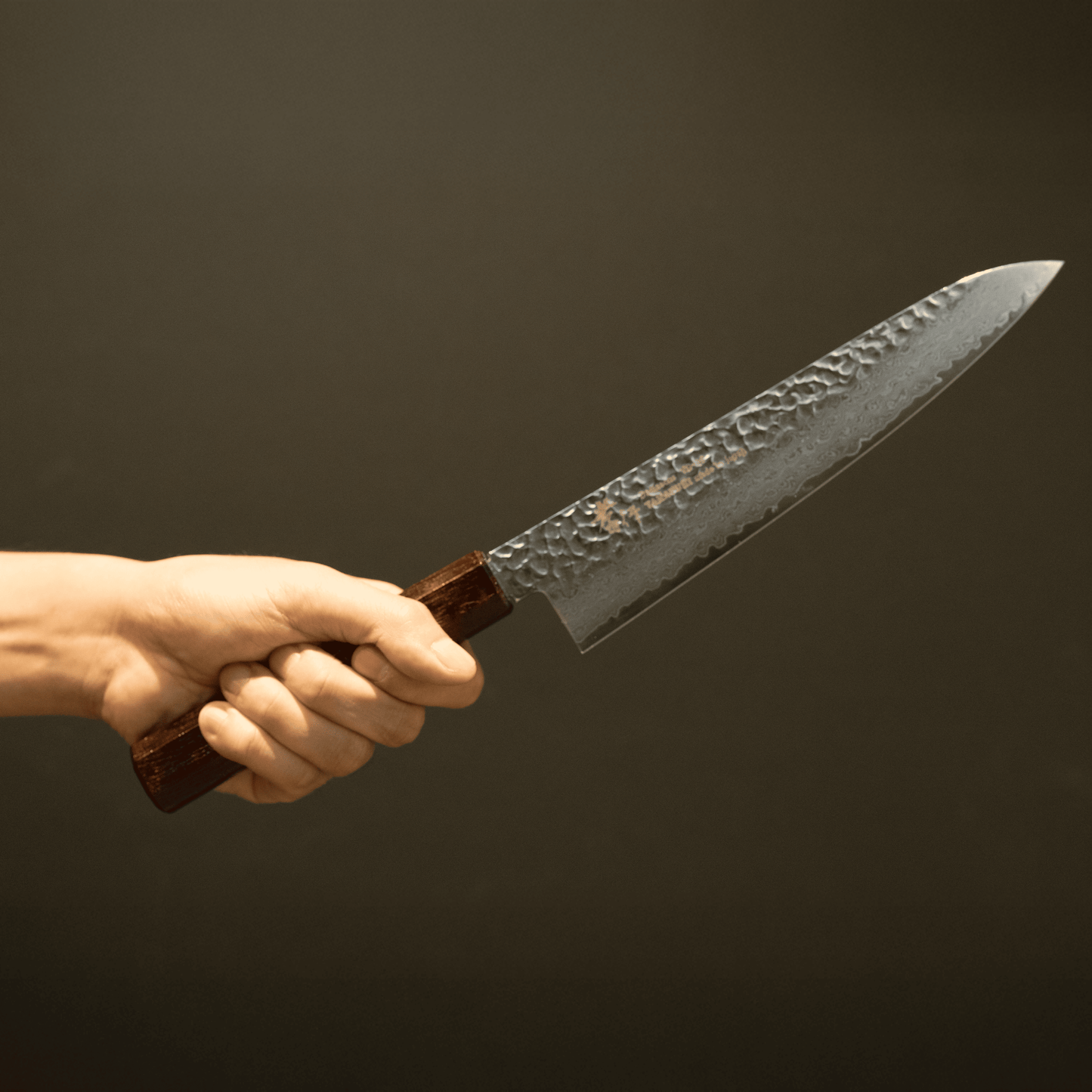 Gyuto VG-10 33 Layers Damascus SAKAI TAKAYUKI  NANAIRO Wine color Birch Handle 8.25 inch