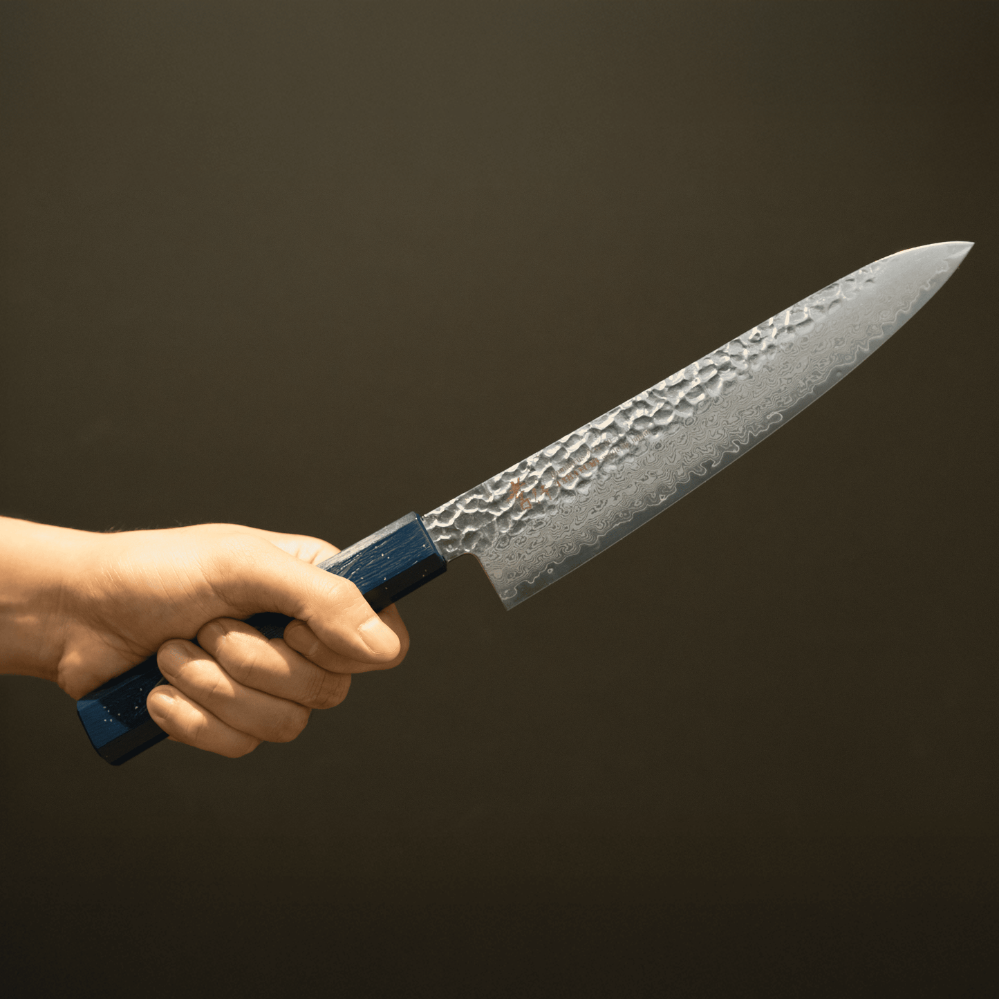 Gyuto VG-10 33 Layers Damascus SAKAI TAKAYUKI  NANAIRO Wine color Birch Handle 8.25 inch