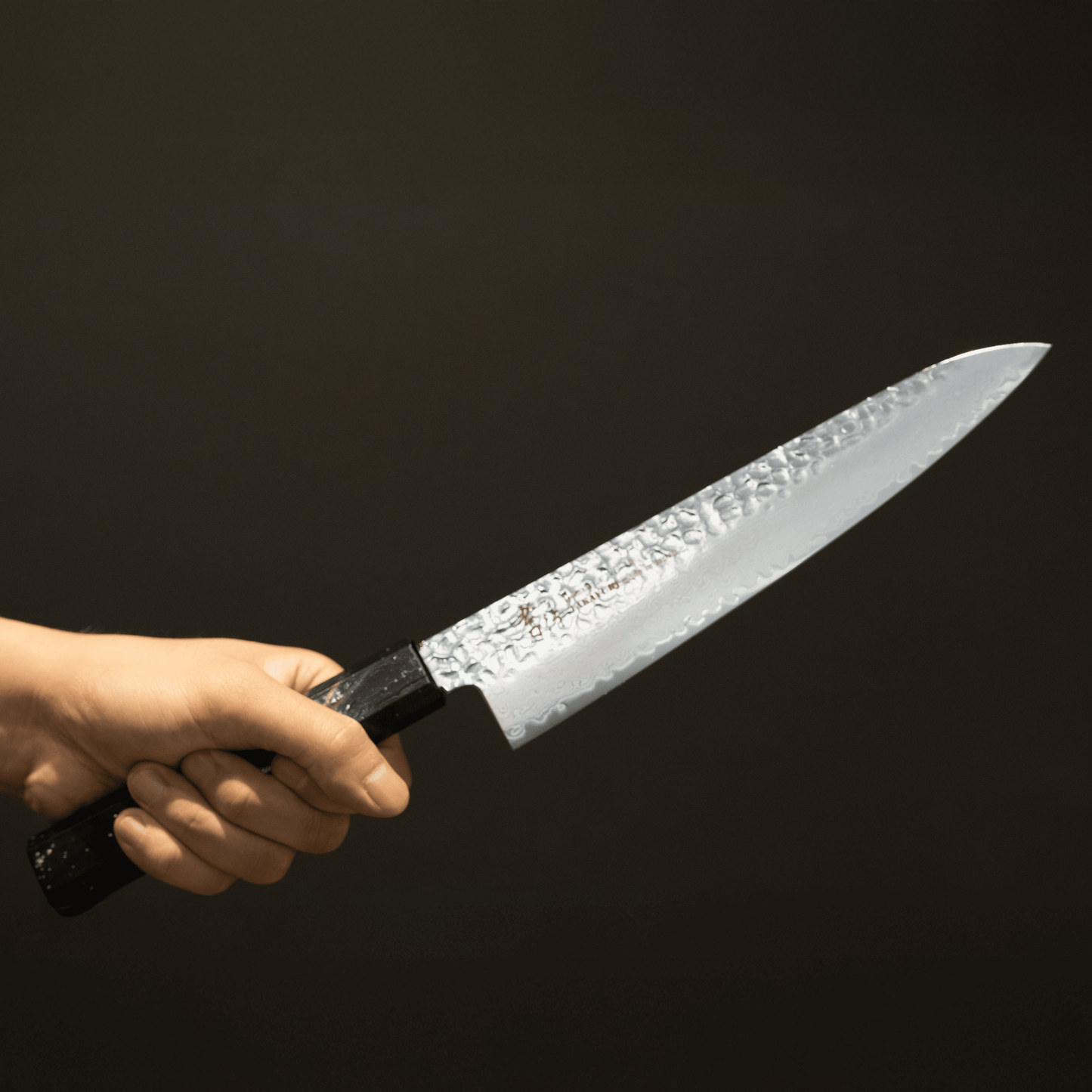 Gyuto VG-10 33 Layers Damascus SAKAI TAKAYUKI  NANAIRO Wine color Birch Handle 8.25 inch