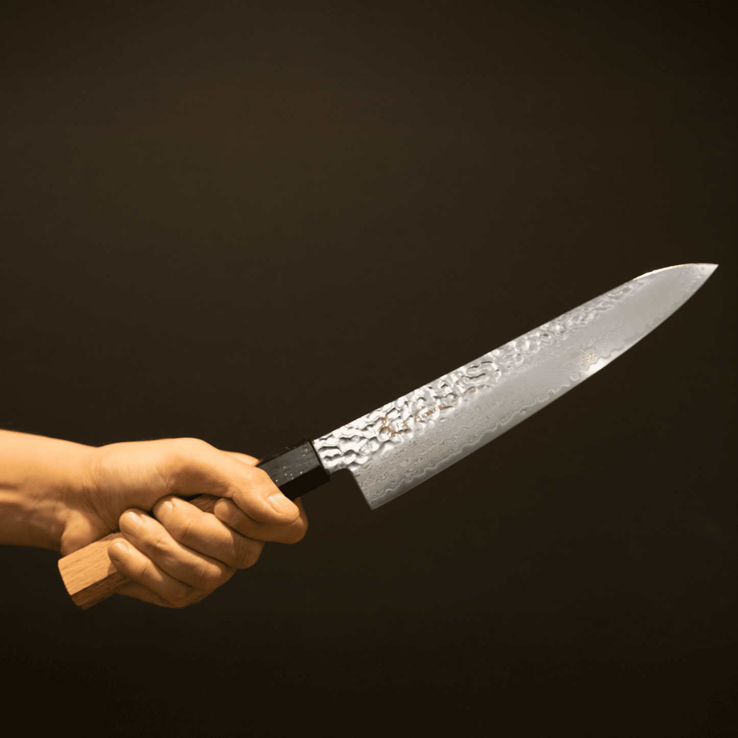 Gyuto VG-10 33 Layers Damascus SAKAI TAKAYUKI  NANAIRO Wine color Birch Handle 8.25 inch