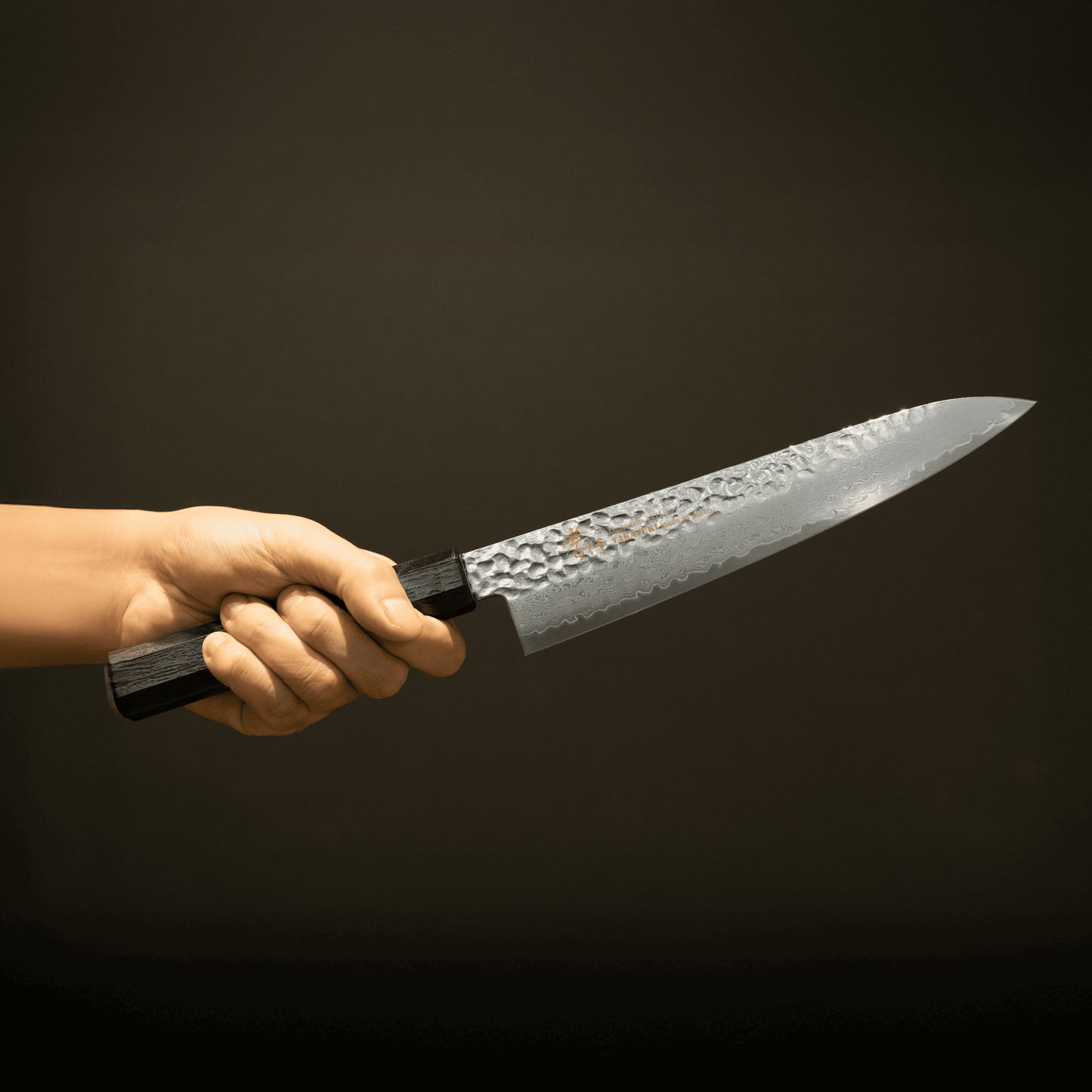 Gyuto VG-10 33 Layers Damascus SAKAI TAKAYUKI  NANAIRO Wine color Birch Handle 8.25 inch